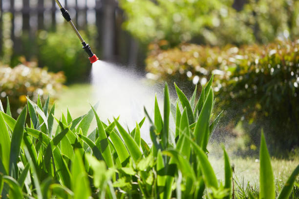 24/7 Emergency Termite Control experts in Forest Hills, TN