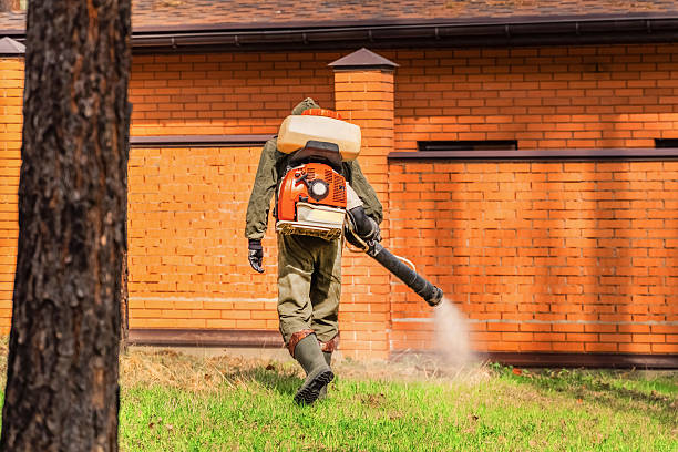 Trusted Emergency Pest Control service in Forest Hills, TN - Nex Pest Control